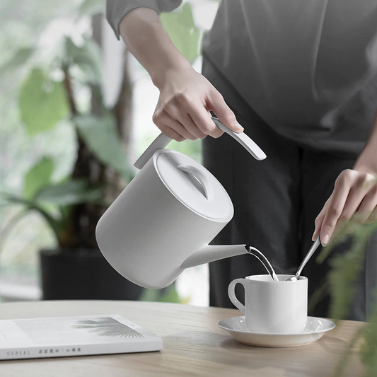 SANJIE D1 Electric Kettle