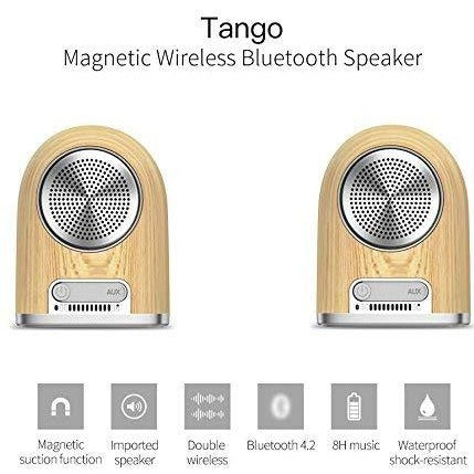 OVEVO Tango D10 Wireless Bluetooth Outdoor Speaker