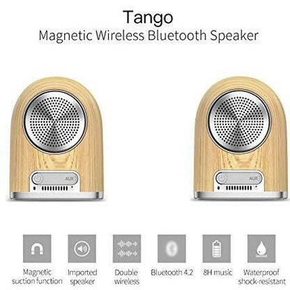 OVEVO Tango D10 Wireless Bluetooth Outdoor Speaker