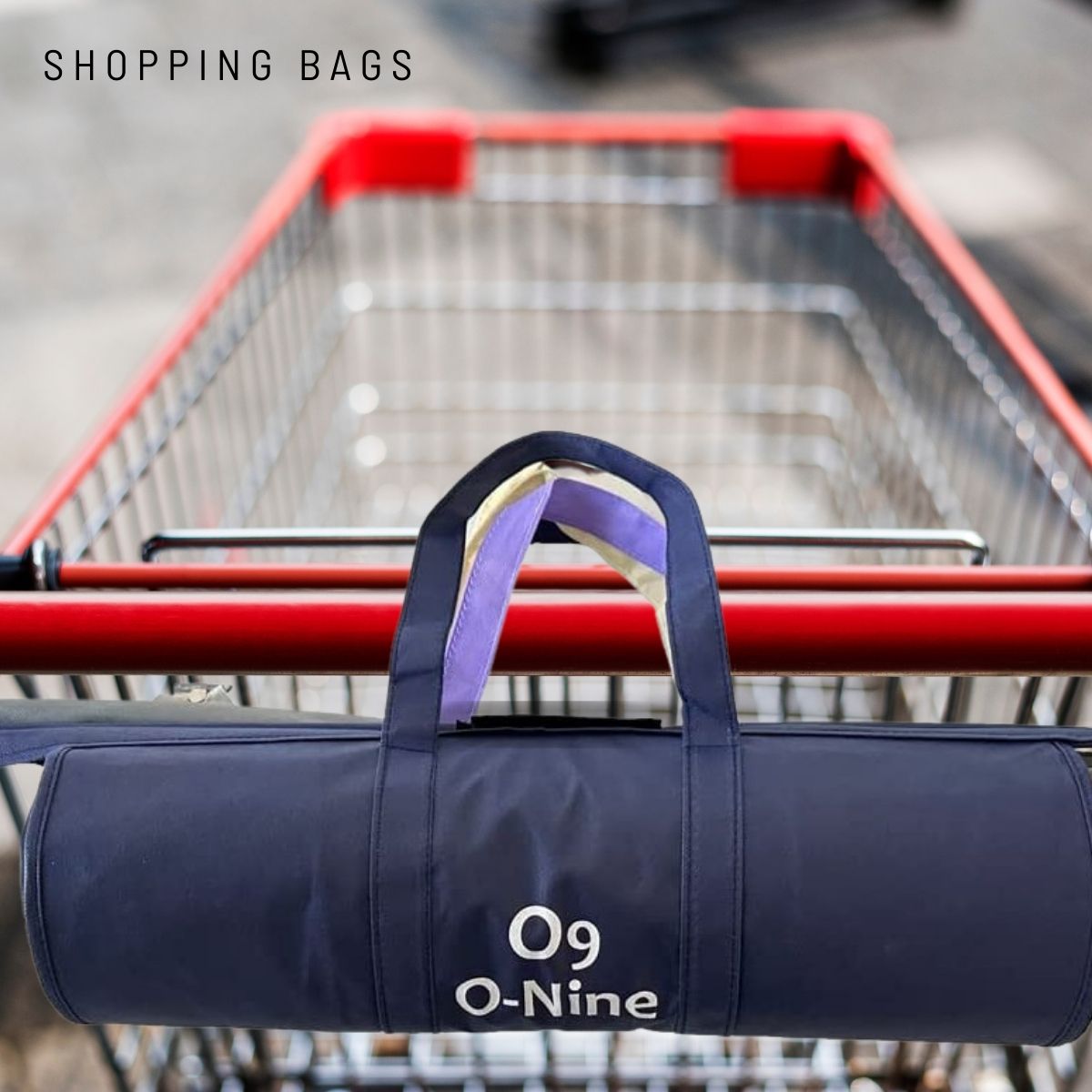 O9 O-Nine Trolley Bags -set of 4