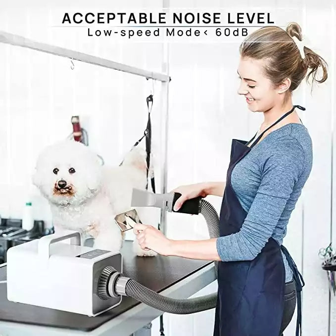 V2com Professional LED Pet Dog Dryer